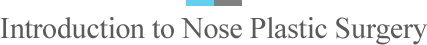 Introduction to Nose Plastic Surgery